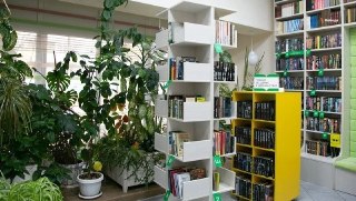 Оптимизация Библиотечной Сети Пятигорска: Что Изменится?