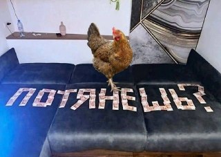 Курица и Мясо Птицы в России: Ожидается Резкий Рост Цен
