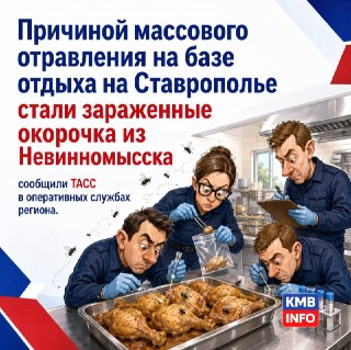 Массовое отравление на базе отдыха: 79 пострадавших на Ставрополье