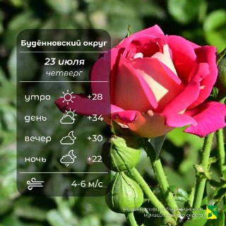 Погода в Буденновском округе: облачно и тепло
