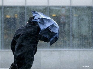 Штормовое предупреждение на Ставрополье: сильные дожди и ветер