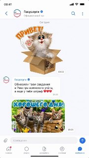 Госуслуги станут национальным мессенджером с новыми функциями