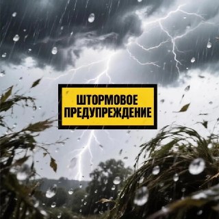 Штормовое предупреждение: сильные дожди и ветер в регионе