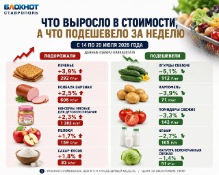 Цены на продукты в Ставрополье: сладости и мясо подорожали