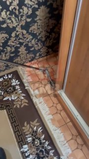 Змеиная активность: спасатели Ставрополья на страже безопасности