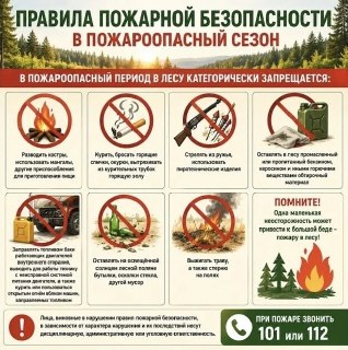Пожароопасный Сезон: Как Избежать Пожаров в Лесу