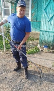 Спасатели поймали ужа на детской площадке в Ессентуках