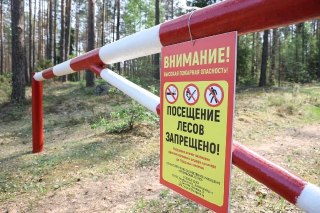 Запрет на посещение лесов Ставрополья продлён до 9 августа