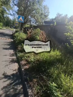 Жители просят принять меры из-за цветения амброзии и травы на улице Багратиона