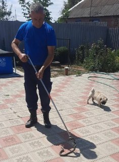 В Дивном спасатели поймали ужа после встречи с собакой