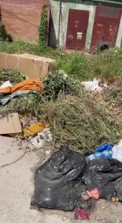Жители выбрасывают весь мусор в новые контейнеры на улицах города