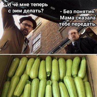 Кабачковый сезон: польза для здоровья и неожиданный тест на одиночество